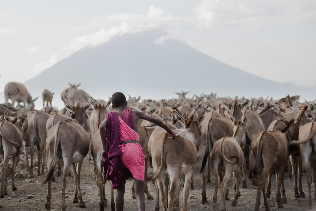 Maasai Cultural Visit