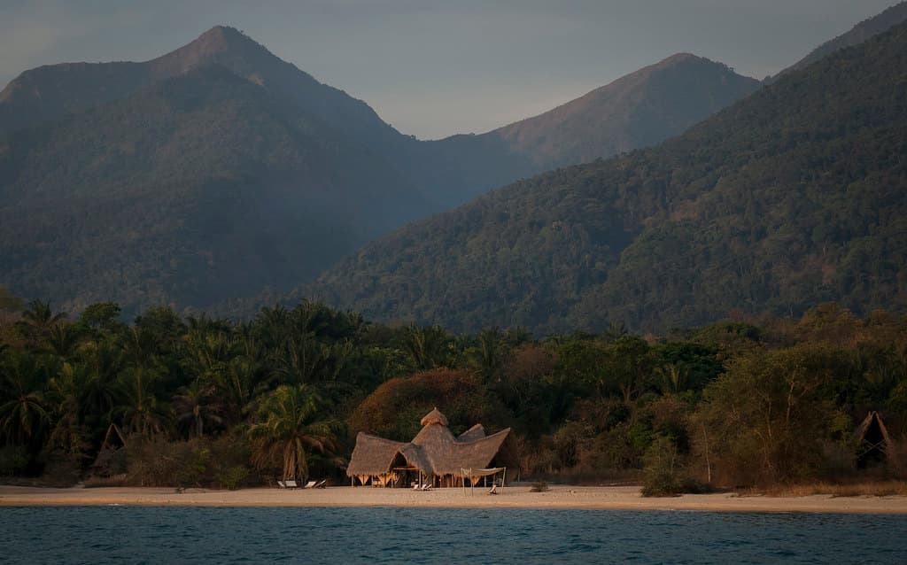 Gombe & Mahale Mountains Chimpanzee Tracking – 7 Days