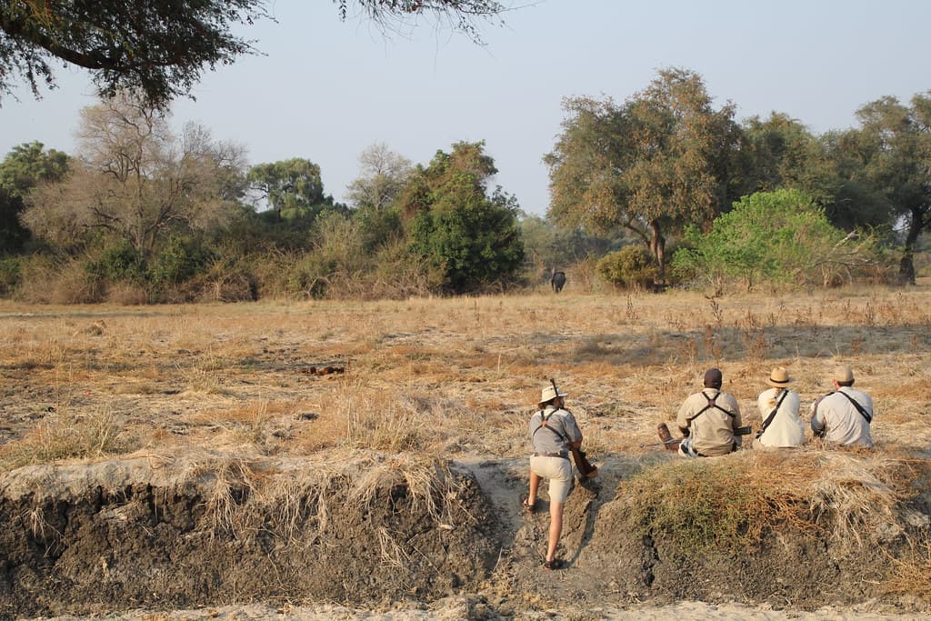 Walking Safari Adventure