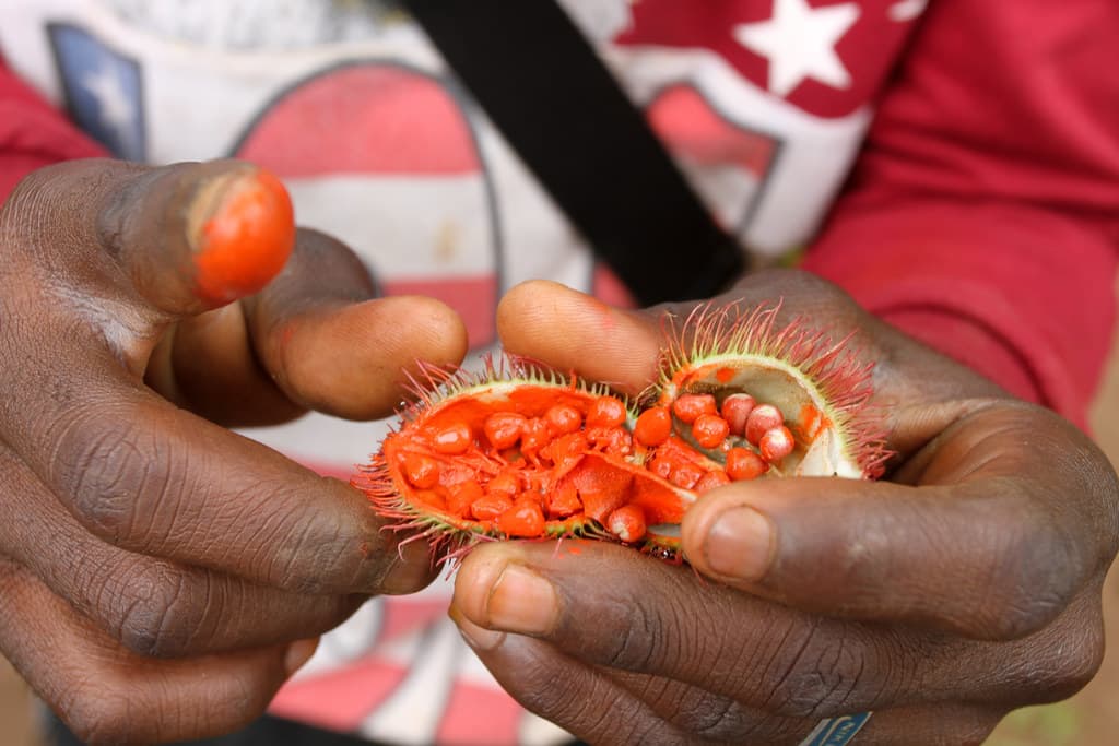 Stone Town Spice Tour
