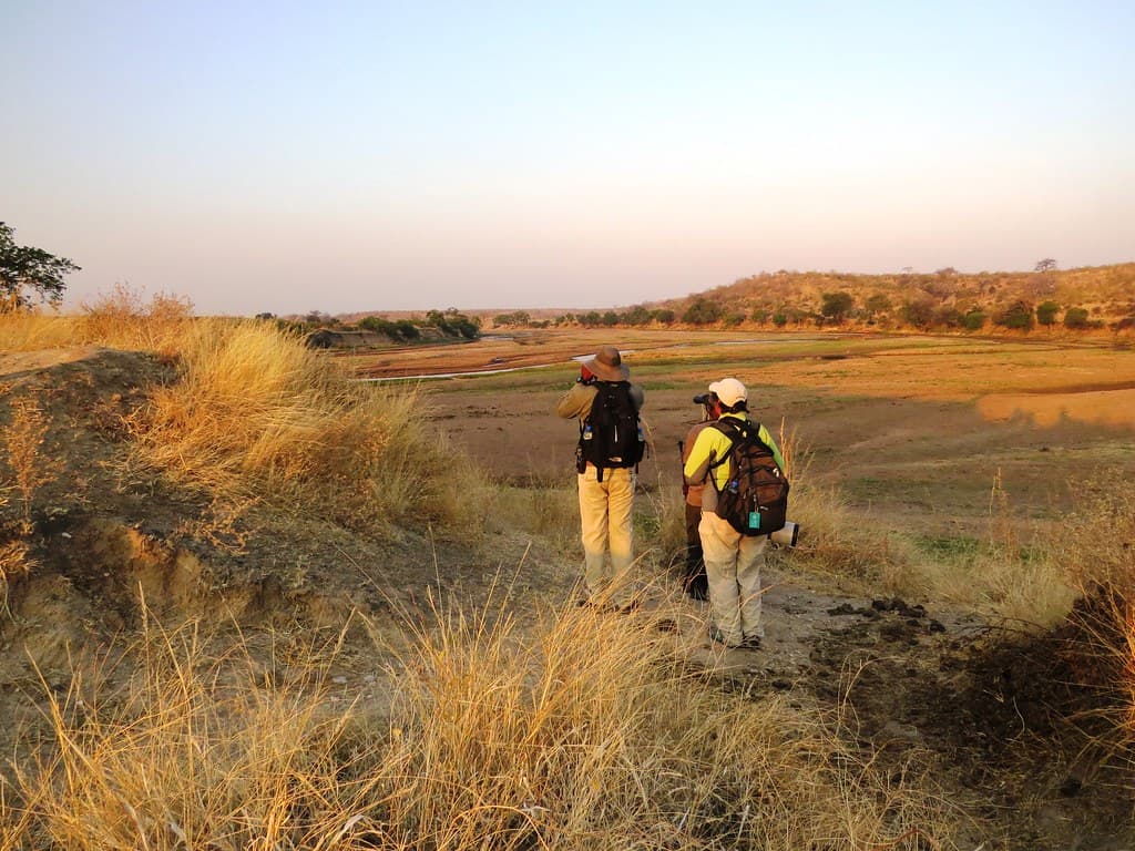 Ruaha Walking Safari