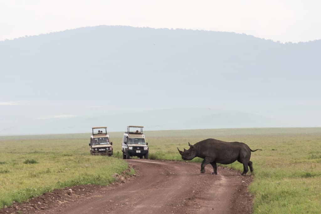Ngorongoro Conservation Area