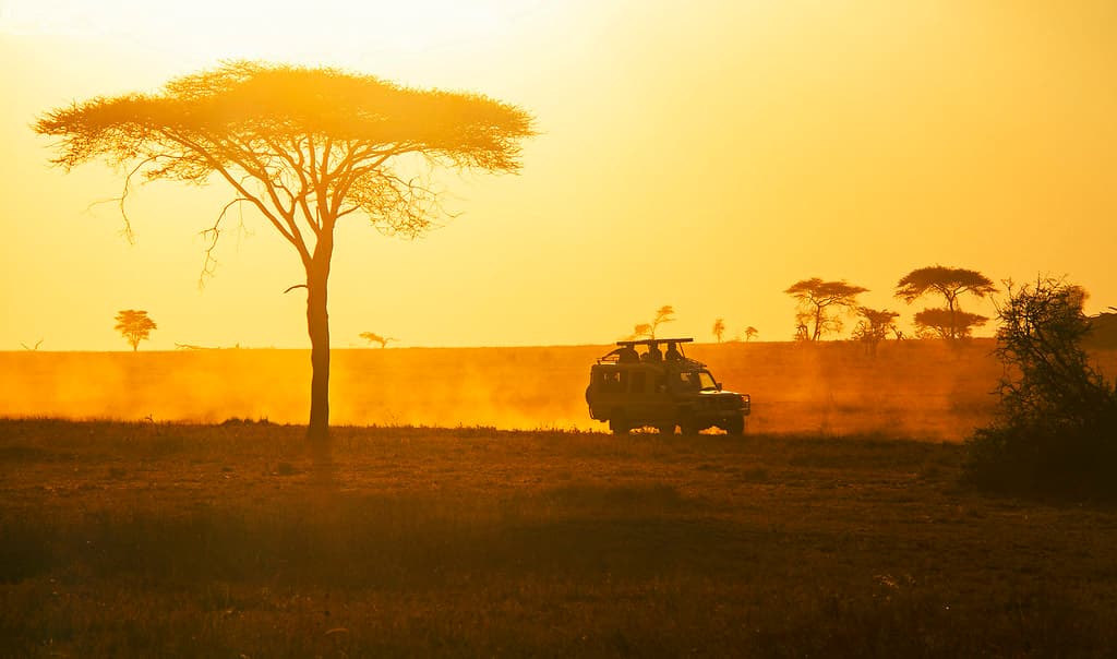 Classic Game Drive