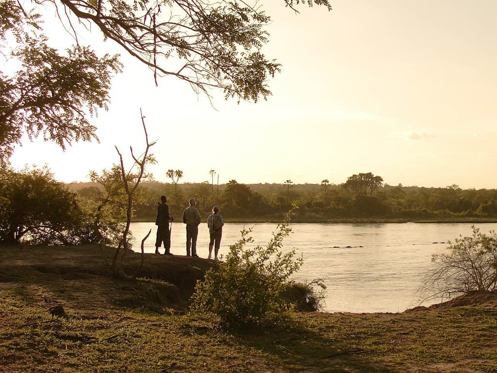 Selous Walking Safari